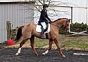 novice078