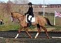 novice079