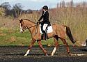 novice081