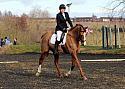 novice083