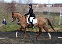 novice084