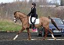 novice086