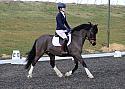 pyo011