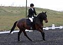 pyo065