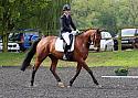 Wittering Academy Dressage May 2018