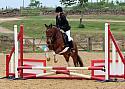 Wittering Academy Showjumping May 2017